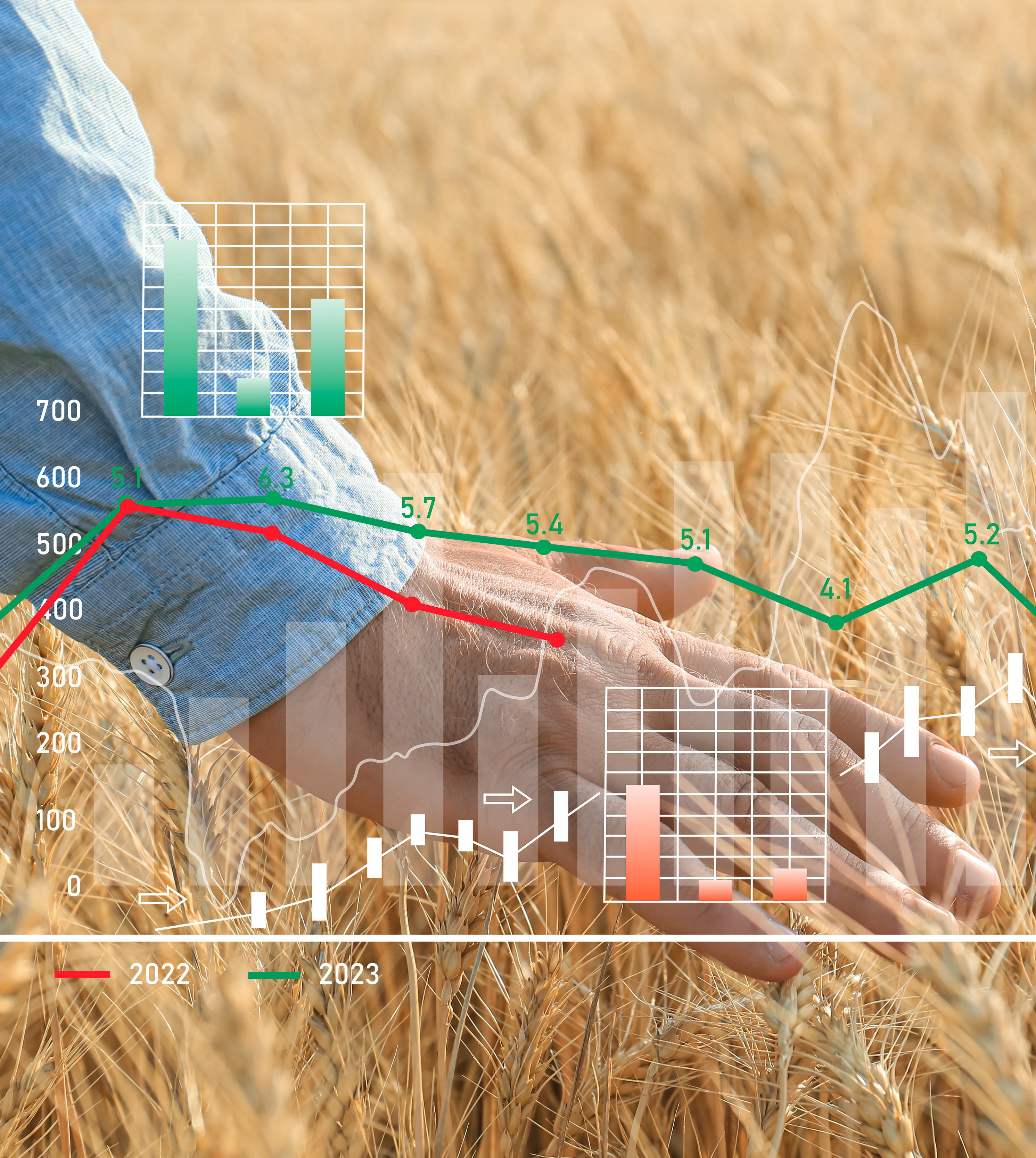 Getreideeinkäufer (m/w/d)